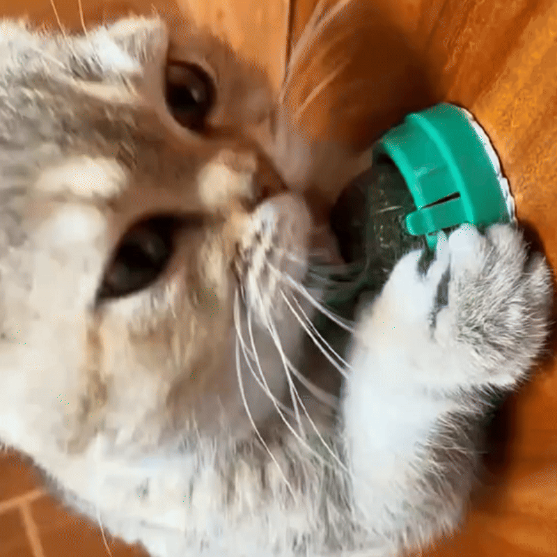 Catnip PurBall
